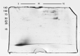 Fig. 2: