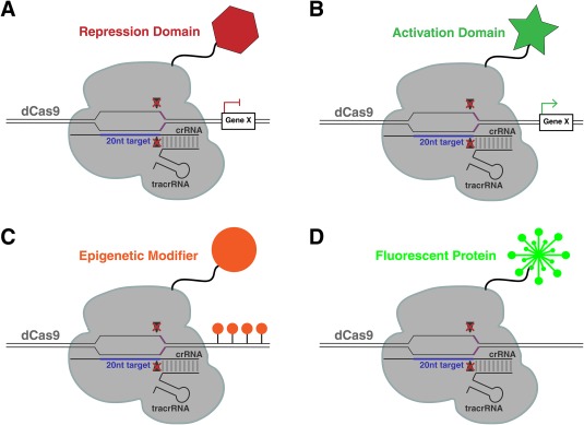 Figure 5