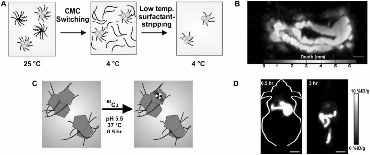 Fig. 2