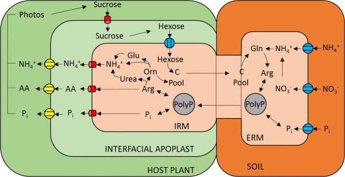 Fig. 7