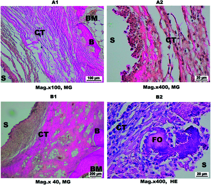 Fig. 10