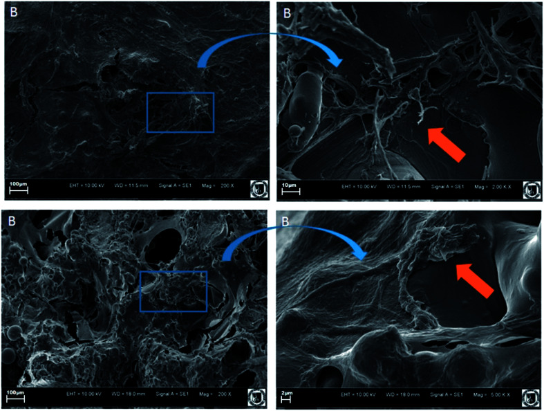 Fig. 12