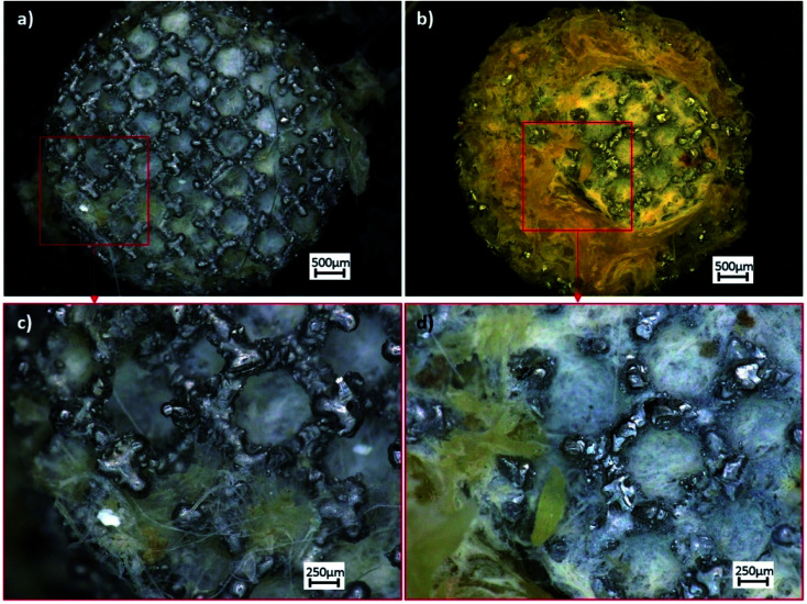 Fig. 15