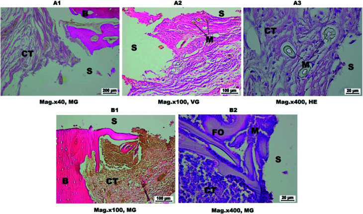 Fig. 8