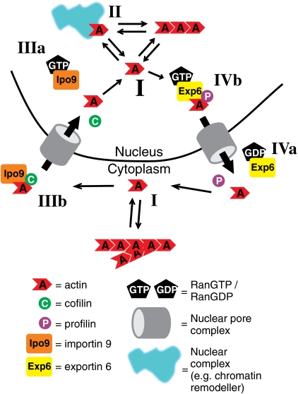 Fig. P1.