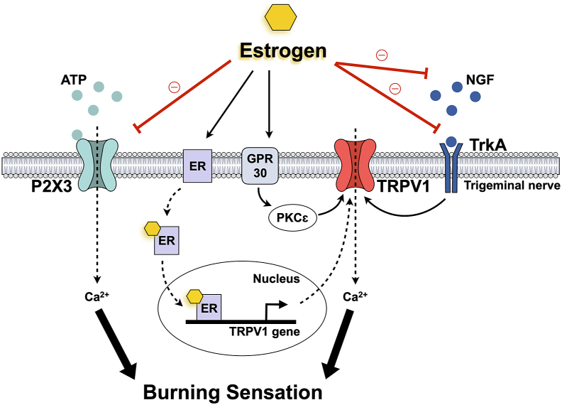 Figure 1