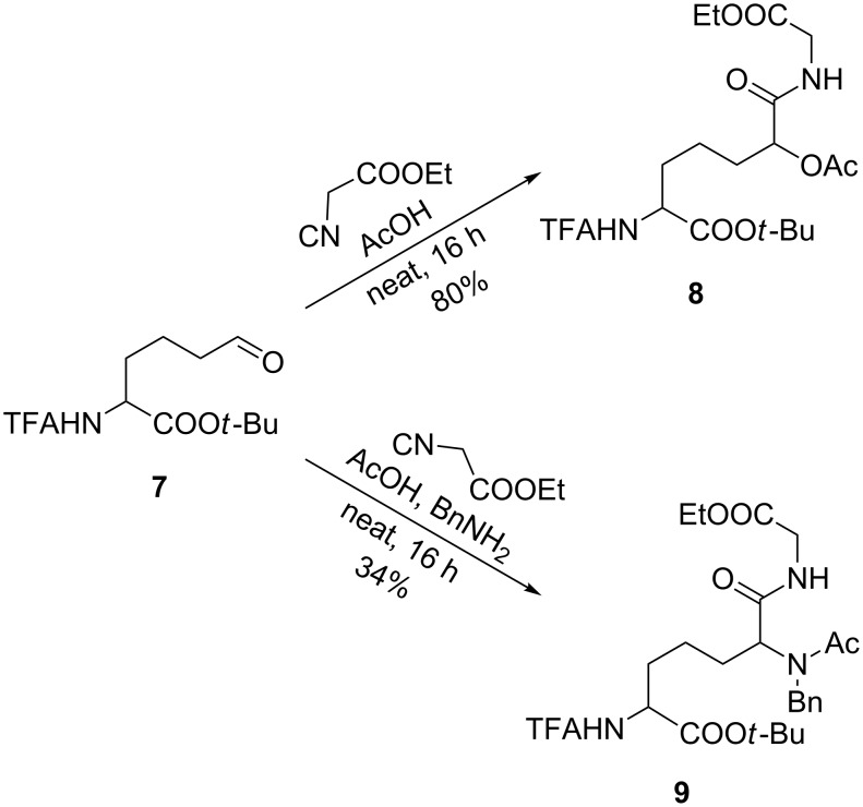 Scheme 2