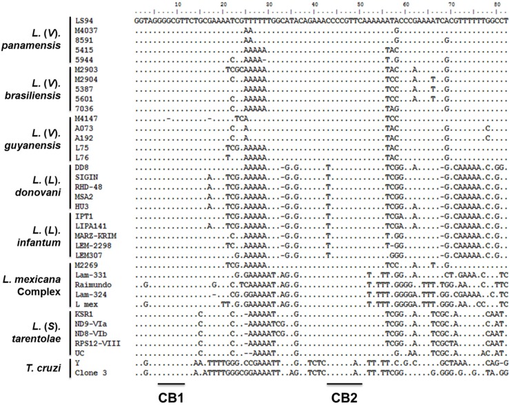 Fig 5