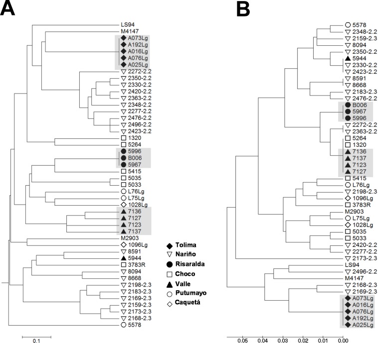 Fig 6