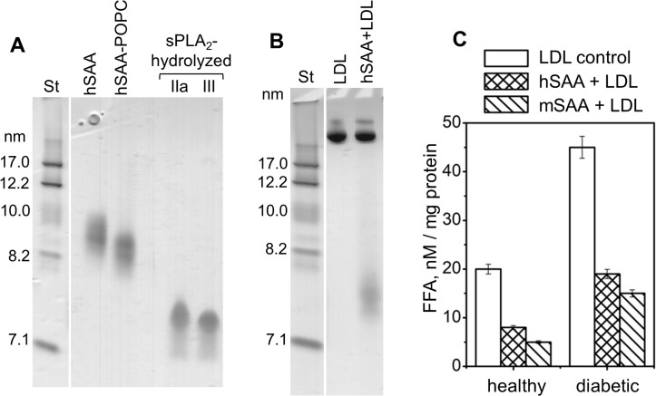 Figure 6—figure supplement 2.