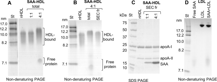 Figure 2—figure supplement 1.