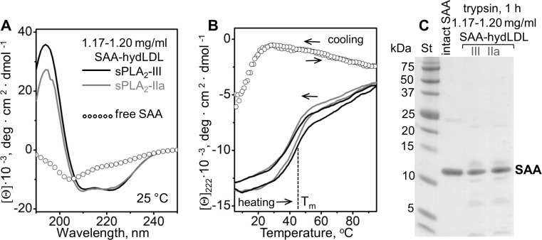 Figure 5—figure supplement 1.