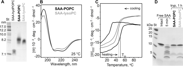 Figure 5—figure supplement 2.