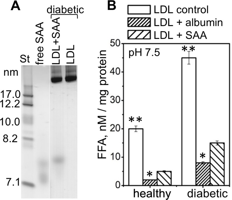 Figure 6—figure supplement 1.