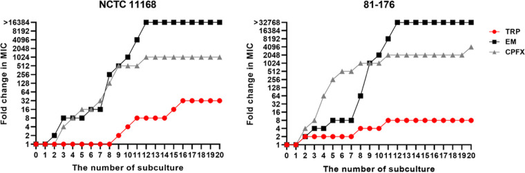 FIG 3