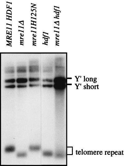 FIG. 7