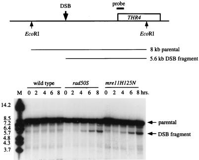 FIG. 8