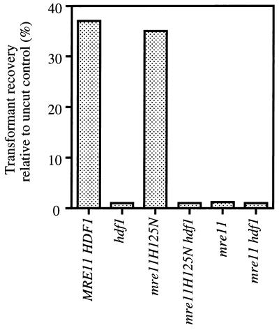 FIG. 6