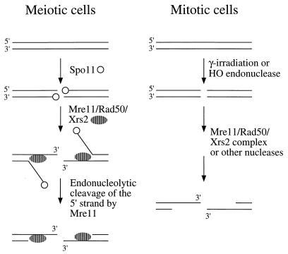 FIG. 9