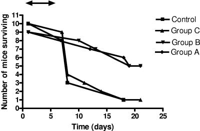 FIG. 2.