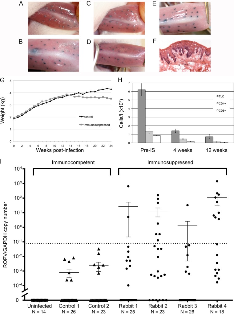 FIG 2