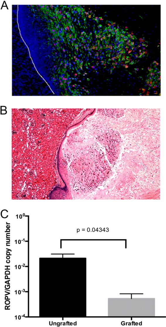 FIG 4