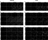 Fig. 6