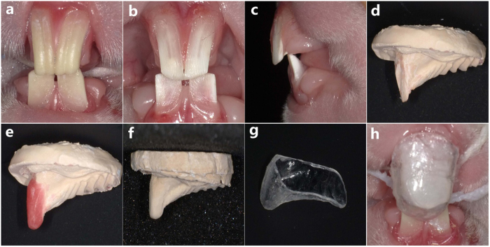 Figure 9