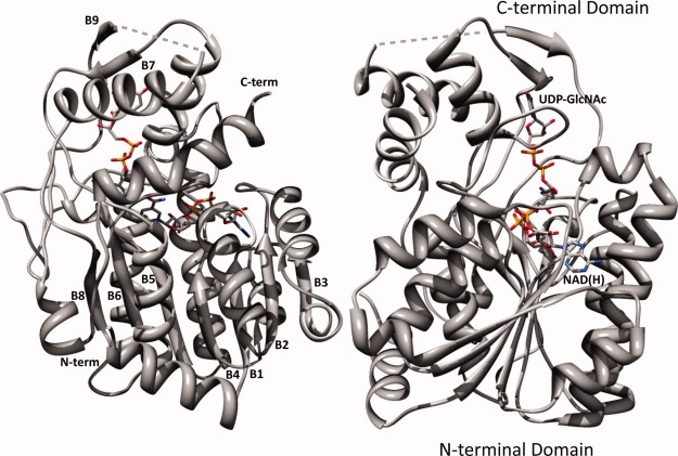 Figure 2