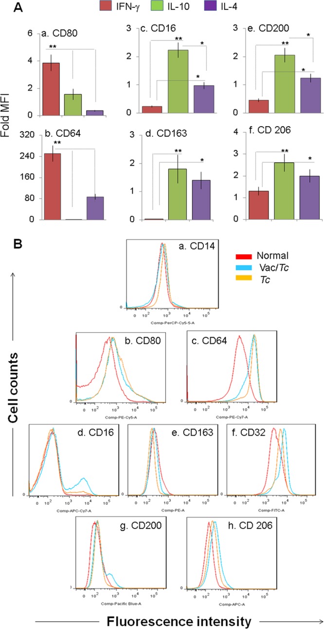 FIG 4