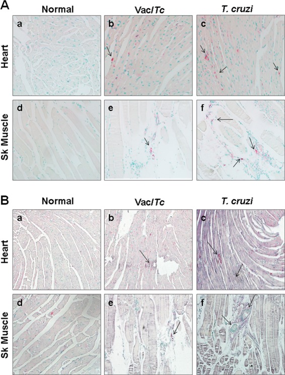 FIG 6