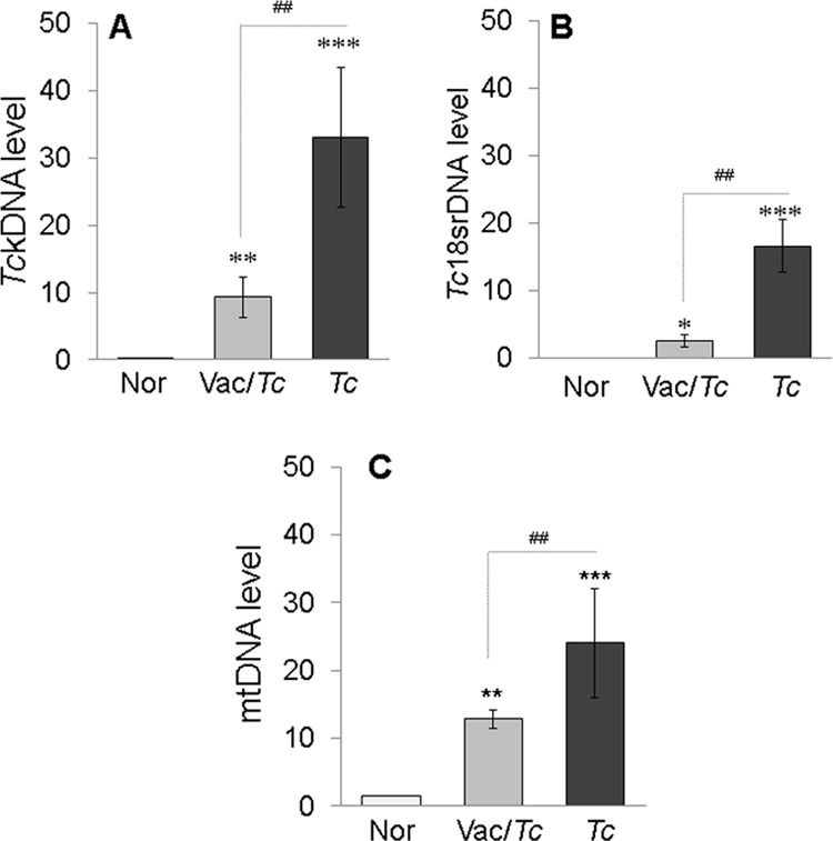 FIG 1