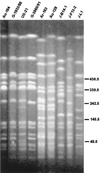 FIG. 1