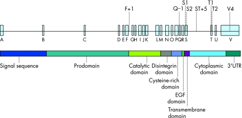 graphic file with name tx60988.f1.jpg