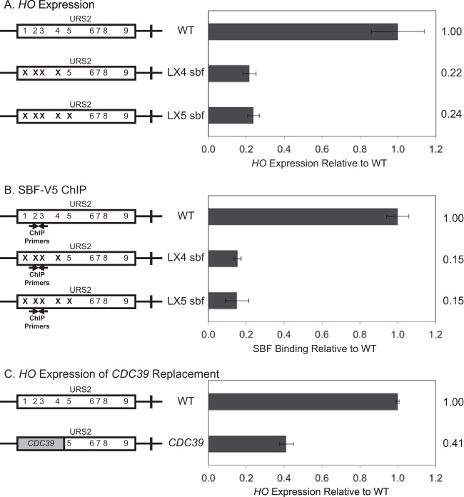 FIG 1