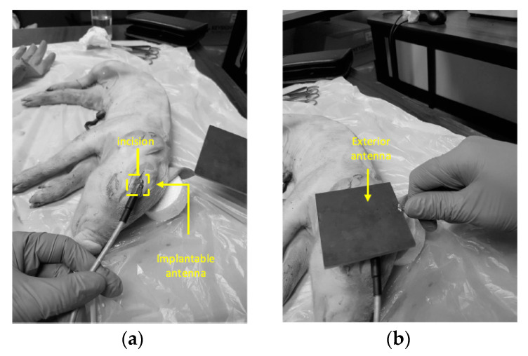 Figure 9