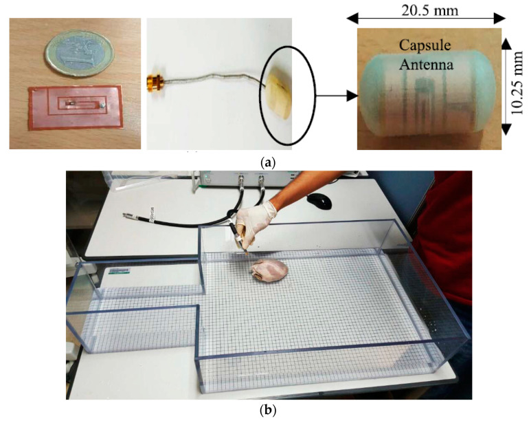 Figure 34