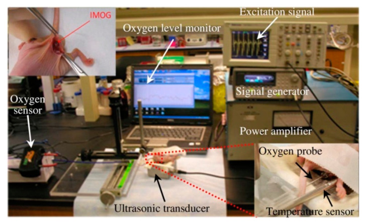 Figure 45