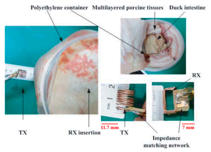 Figure 28