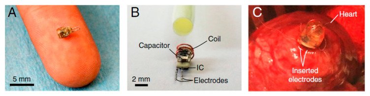 Figure 32