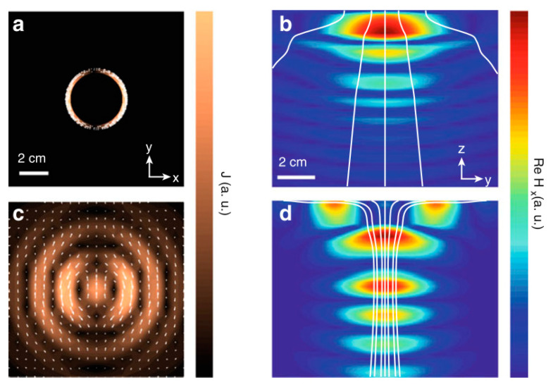 Figure 30