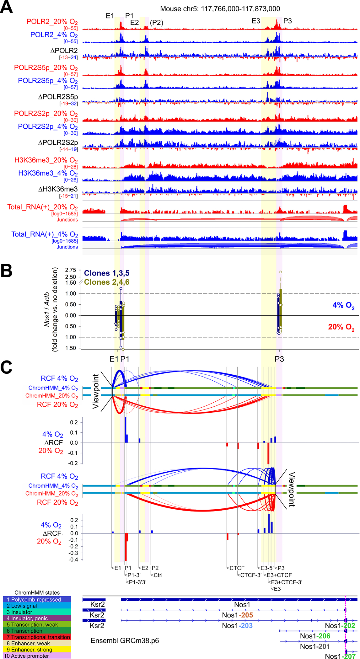 Figure 4.