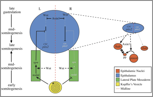 Figure 6