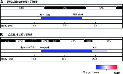 Figure 4.—