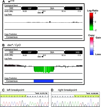 Figure 2.—