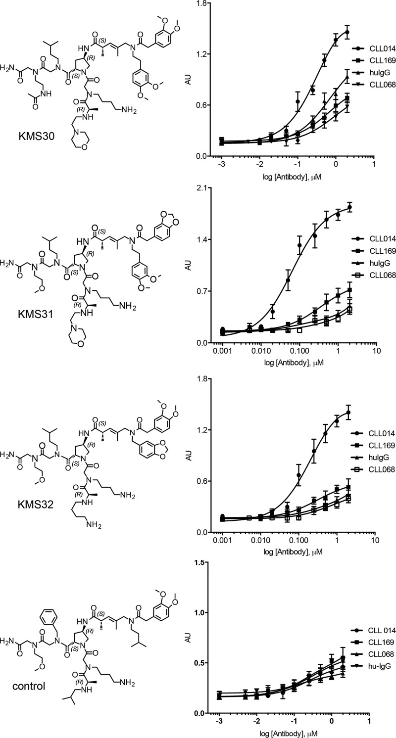 FIGURE 4.