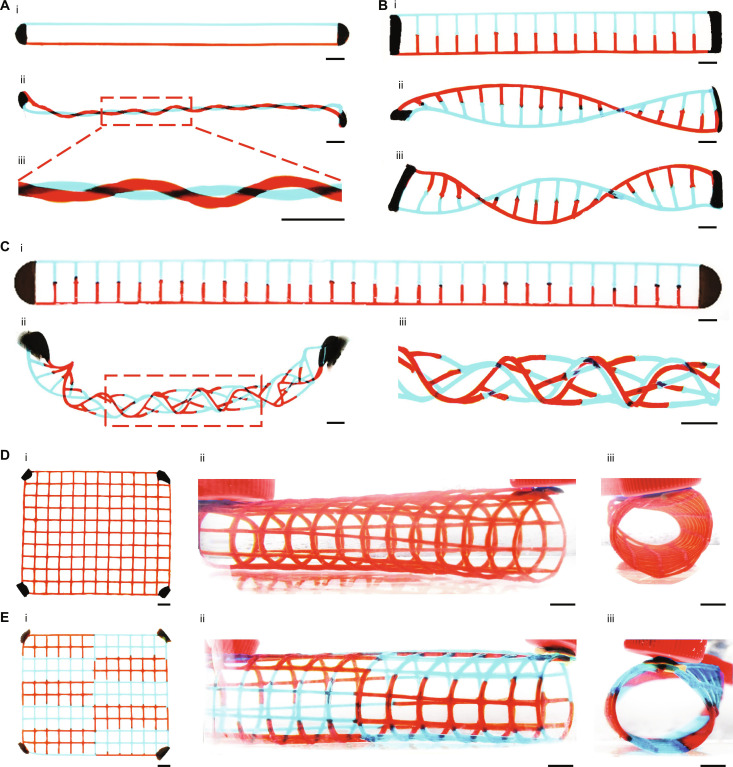 Fig. 4.