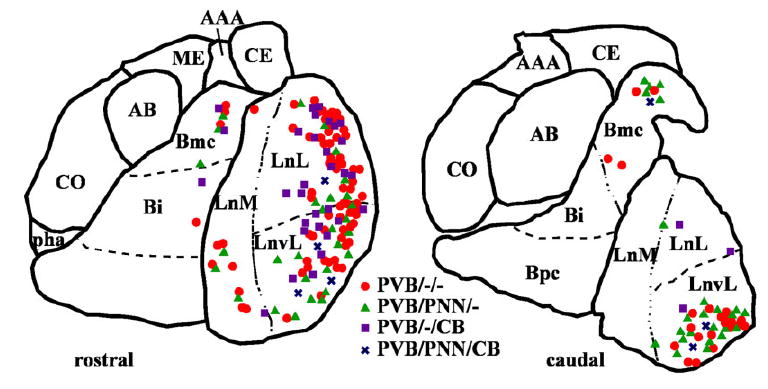 Fig. 10