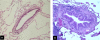 <b>Figure 3.</b>