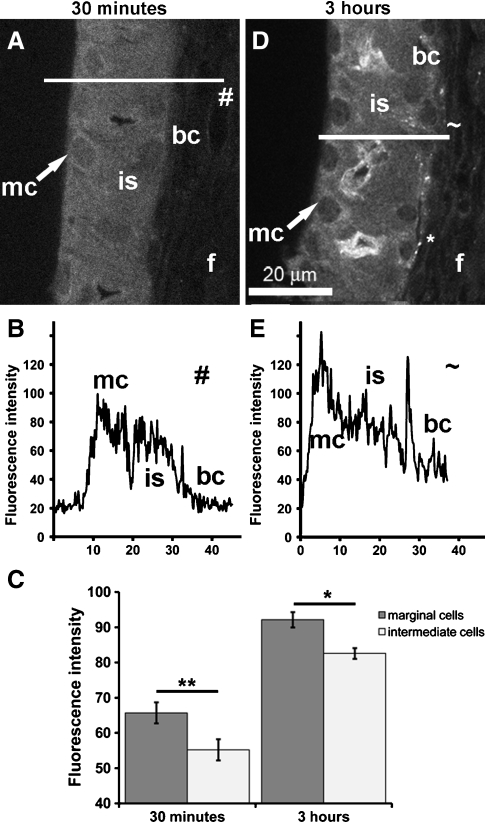 FIG. 6.